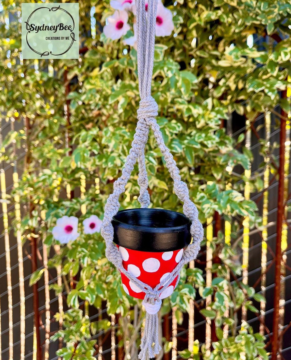 Plant Hangers