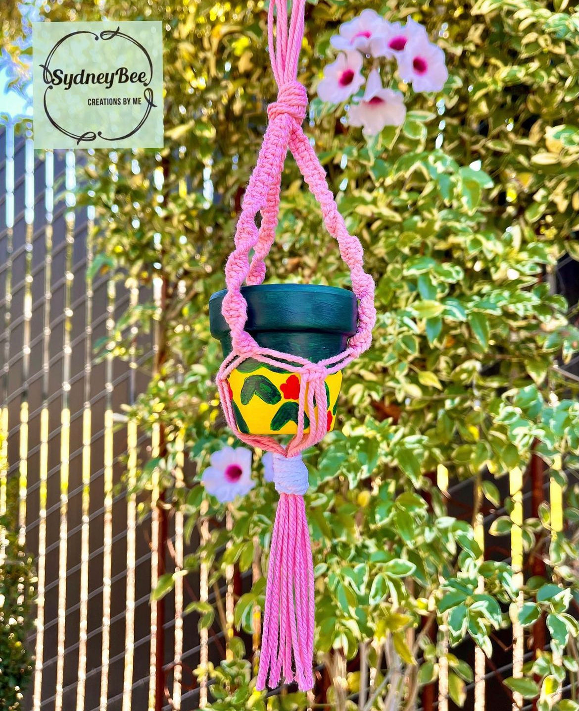 Plant Hangers